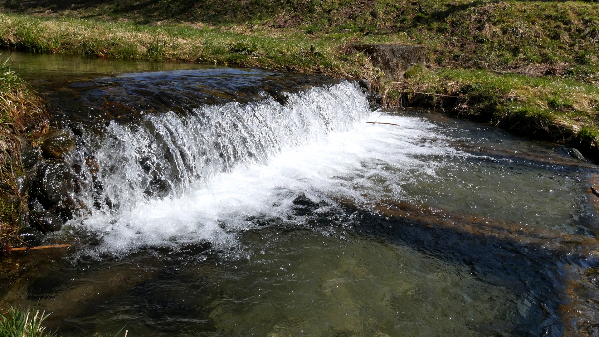 【鰻料理の歴史】その５