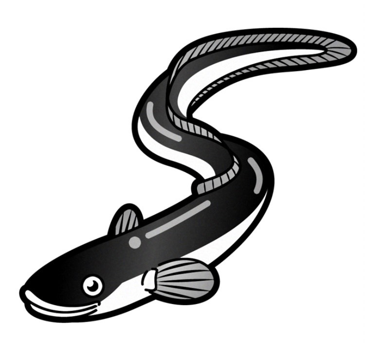 うなぎって生で食べれないの？？