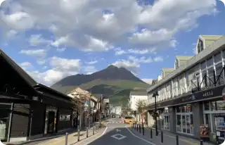 由布見通りを由布岳の方向に向かいます。