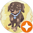 カロリーナ五十嵐 profile picture